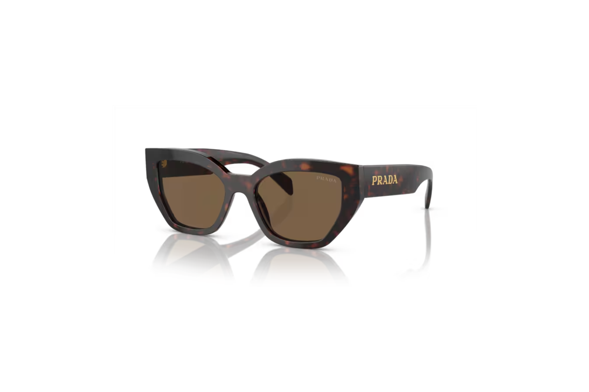 0PR A09S 16N5Y1 - Tartaruga